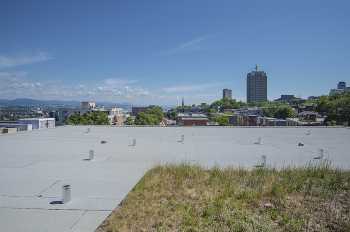 La Passerelle photo 8