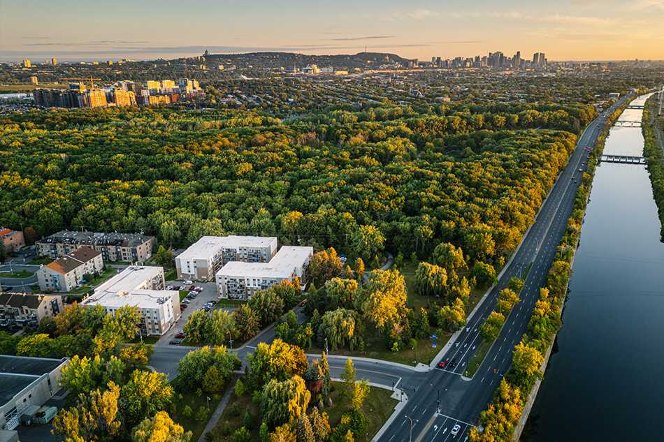 Terrasse Angrignon - 8